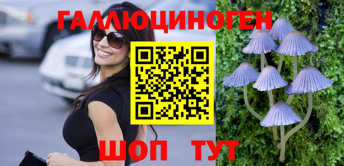 Галлюциногенные грибы Magic Shrooms  Вход с VPN  Ахтубинск 
